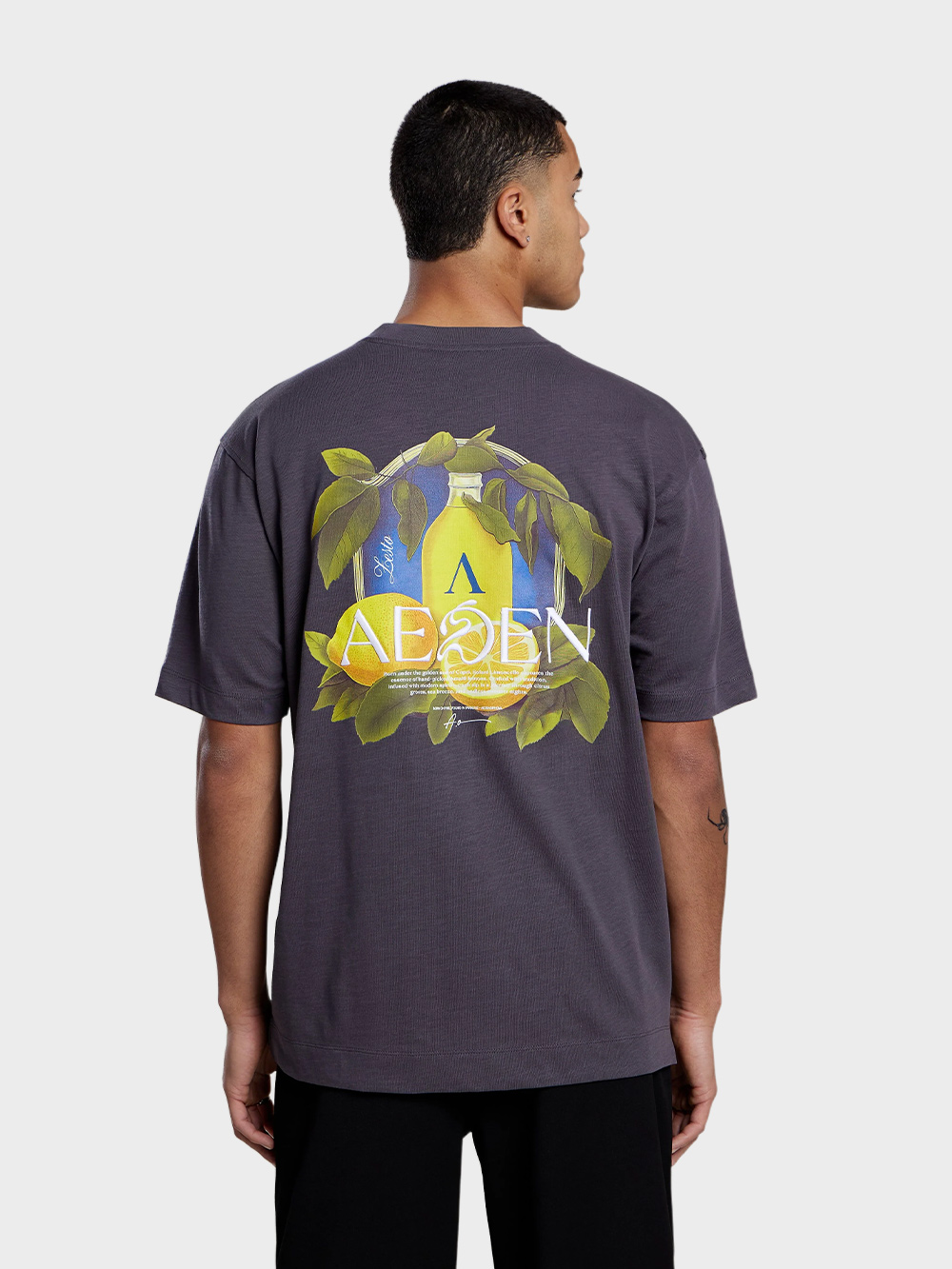 Aeden-Ezion-T-Shirt-Grijs Aeden Ezion T-Shirt Grijs