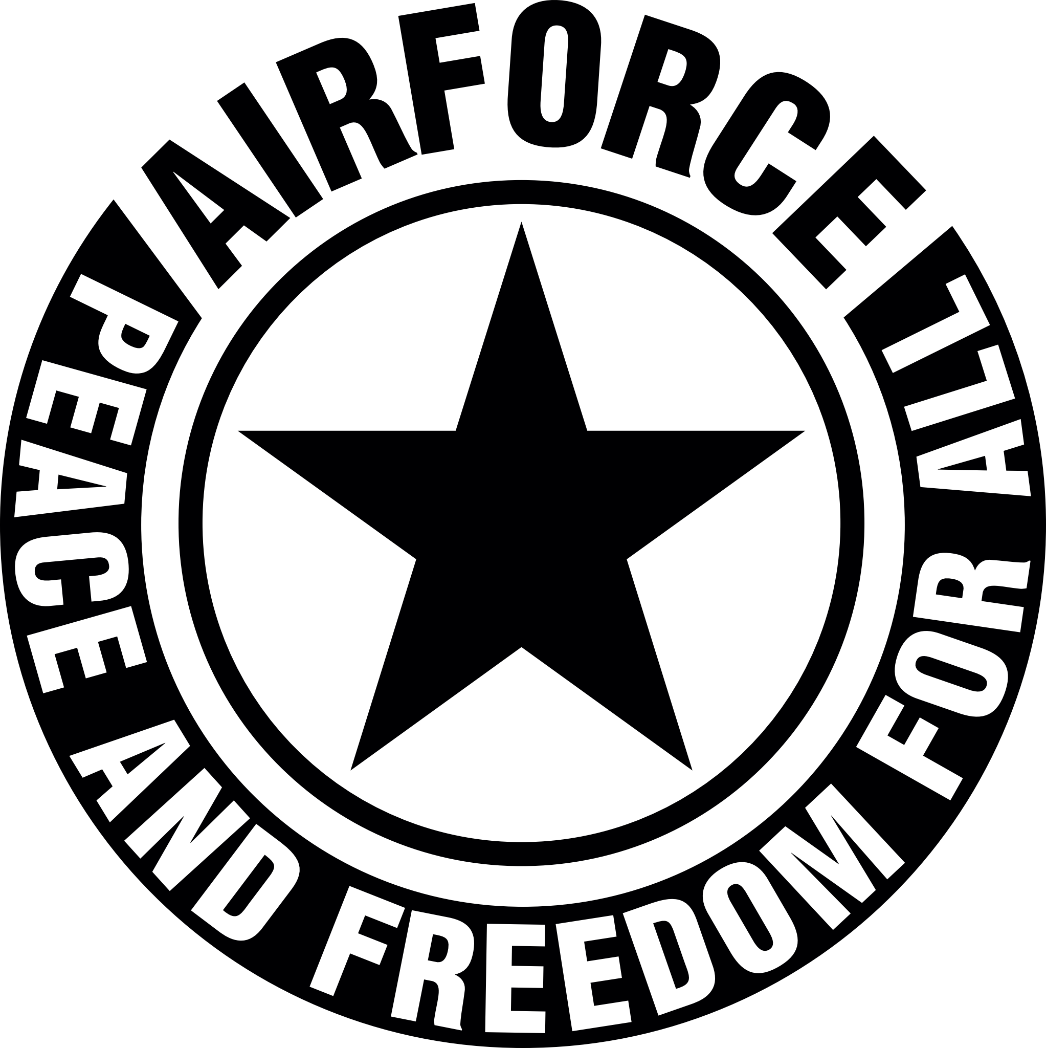 Airforce winterjassen